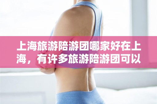 上海旅游陪游团哪家好在上海，有许多旅游陪游团可以选择，具体哪家陪游团好，需要根据您的需求和预算进行选择。以下是一些在上海比较受欢迎的旅游陪游团，供您参考，上海旅游陪游攻略，上海旅游陪游攻略，了解各家旅游陪游团的优势与选择建议